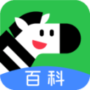 莫德里奇AC米兰首秀替补登场，赛后与帕尔默交换球衣